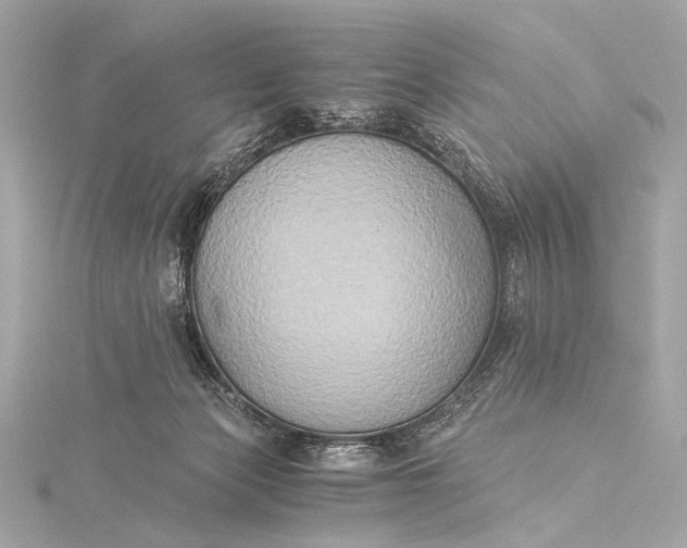 X0000116020173200912041757