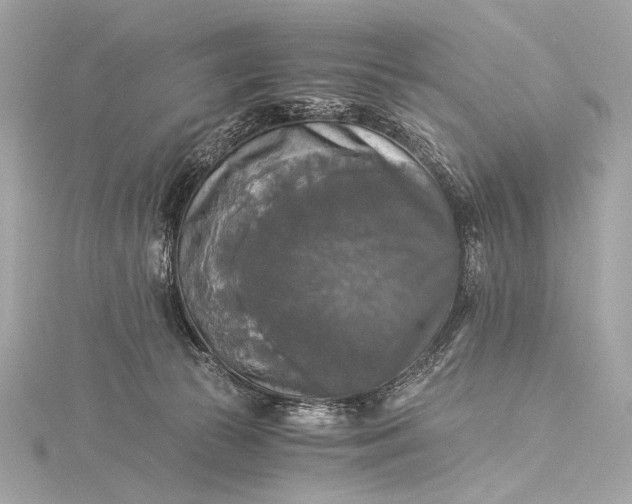 X0000116020177200912041757