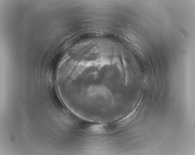 X0000116020178200912041757