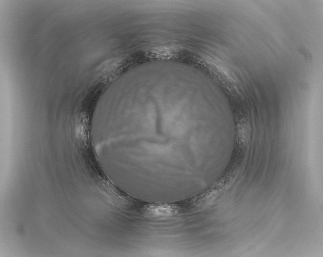 X0000116020181200912041757