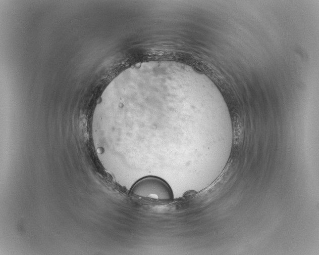 X0000116020187200912041758