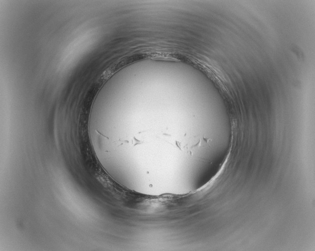 X0000116020190200912041758