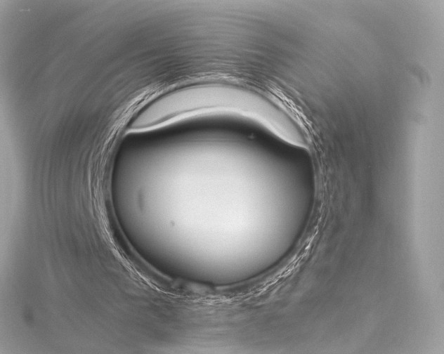 X0000116020193200912041757