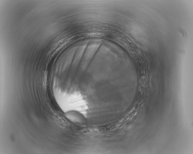 X0000116020194200912041757