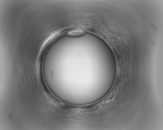 X0000116020197200912041757