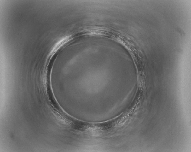 X0000116020199200912041757