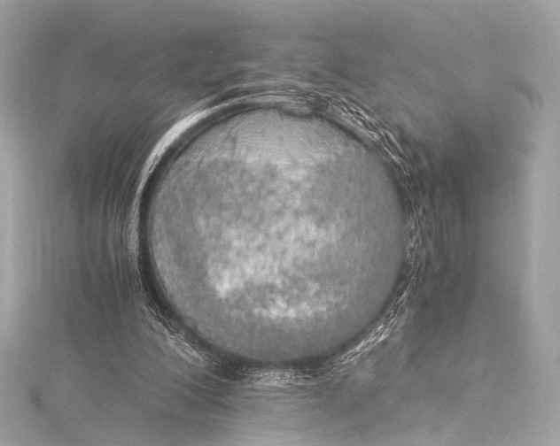 X0000116020200200912041757