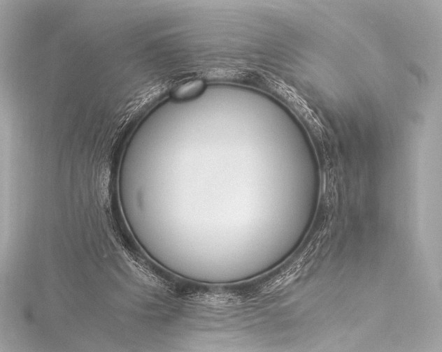 X0000116020201200912041757