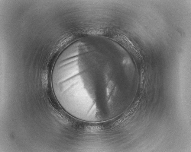 X0000116020202200912041757