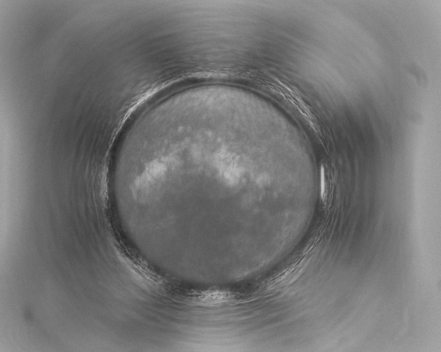 X0000116020204200912041757