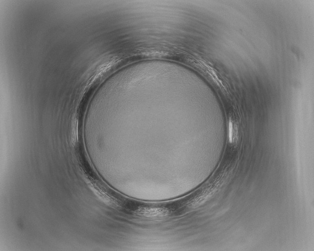 X0000116020205200912041757