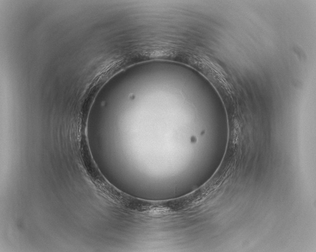 X0000116020210200912041757