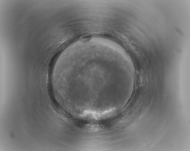 X0000116020211200912041757