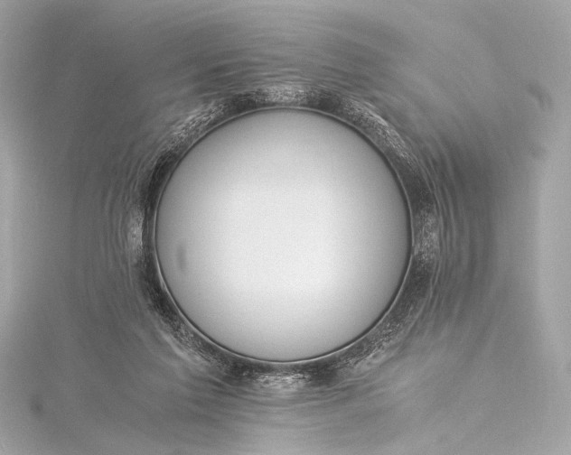 X0000116020213200912041757