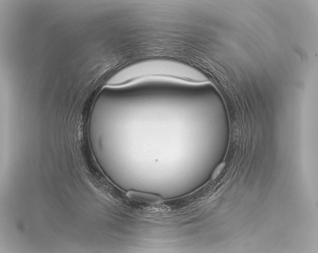 X0000116020215200912041757