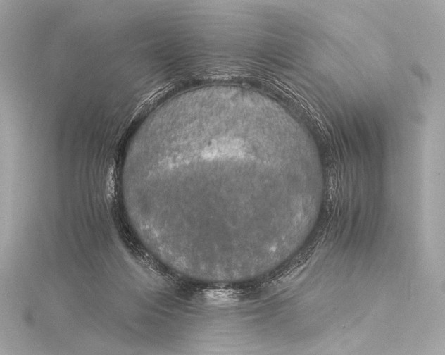 X0000116020216200912041757