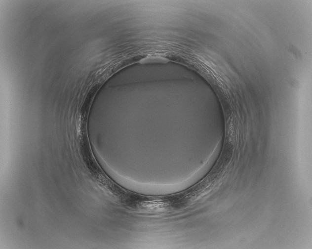 X0000116020219200912041757