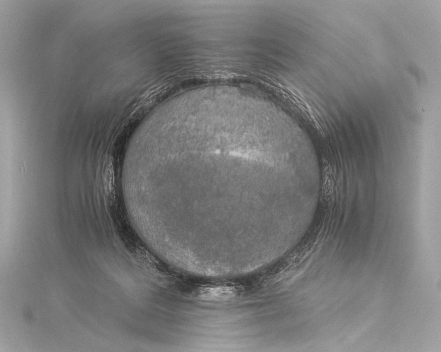 X0000116020220200912041757