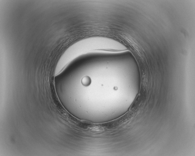 X0000116020221200912041757