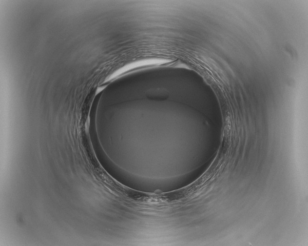 X0000116020223200912041757