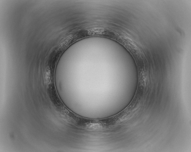 X0000116020224200912041757