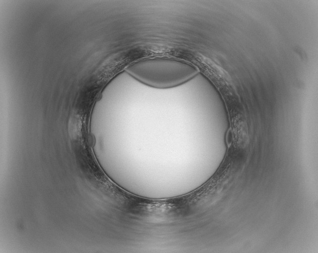 X0000116020225200912041757