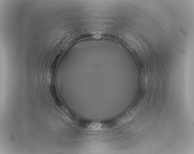 X0000116020227200912041757