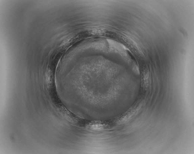 X0000116020228200912041757