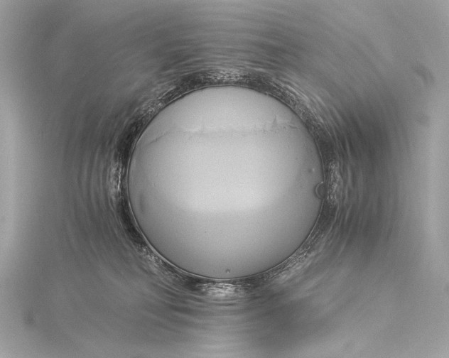 X0000116020230200912041756