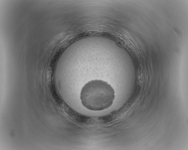 X0000116020231200912041756