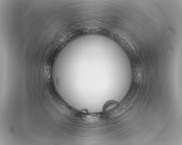 X0000116020232200912041756