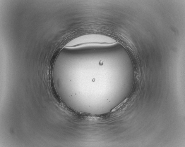 X0000116020233200912041756