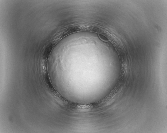 X0000116020234200912041756