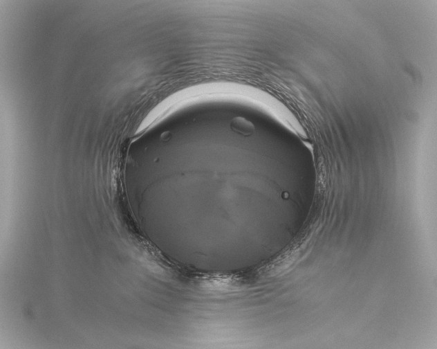 X0000116020235200912041756