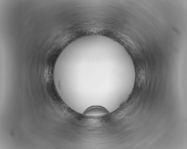 X0000116020236200912041756