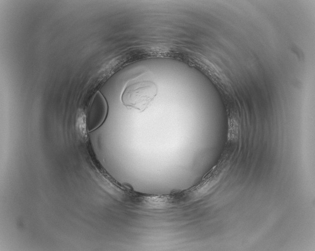 X0000116020238200912041756