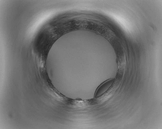 X0000116020239200912041756