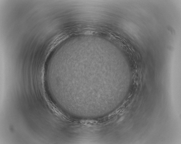 X0000116020242200912041756