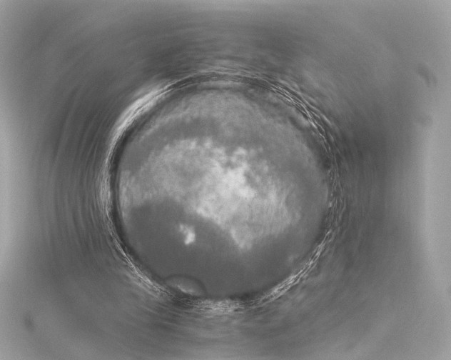 X0000116020245200912041756