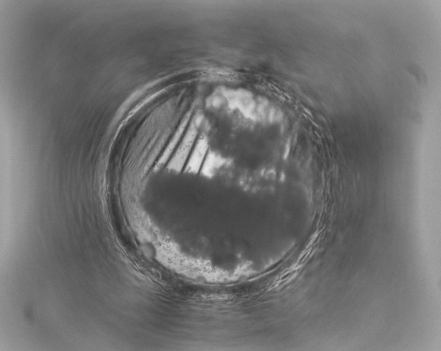 X0000116020247200912041756