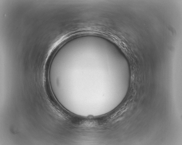 X0000116020248200912041756