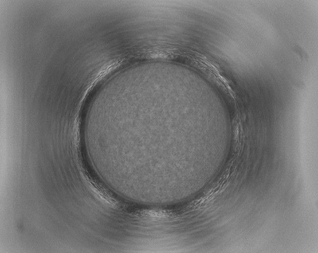 X0000116020250200912041756