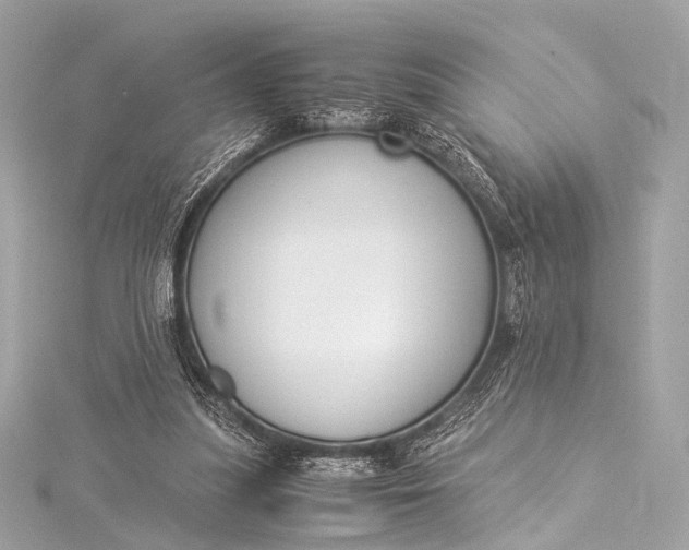 X0000116020251200912041756