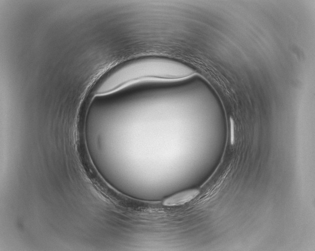 X0000116020252200912041756