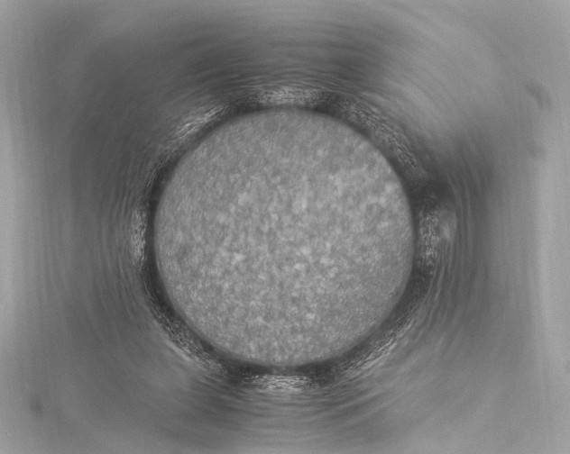 X0000116020255200912041756