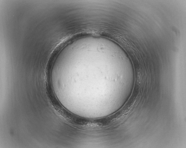 X0000116020256200912041756