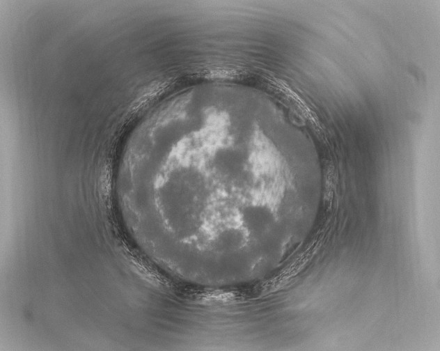 X0000116020257200912041756