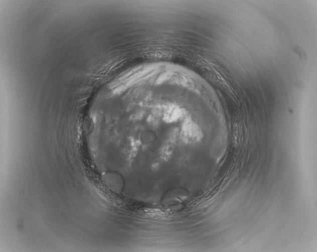 X0000116020259200912041756