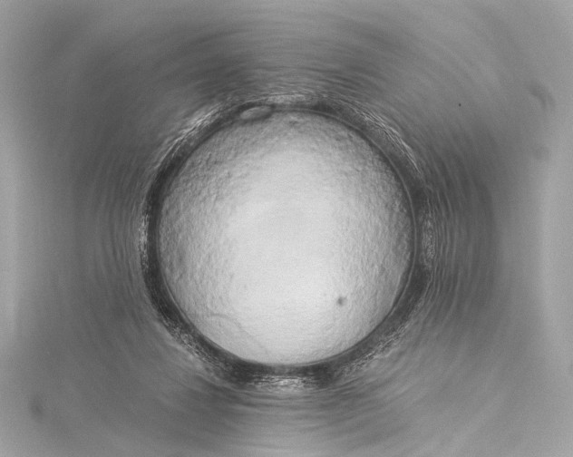 X0000116020260200912041756