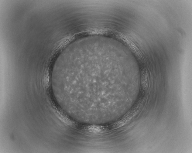 X0000116020261200912041756